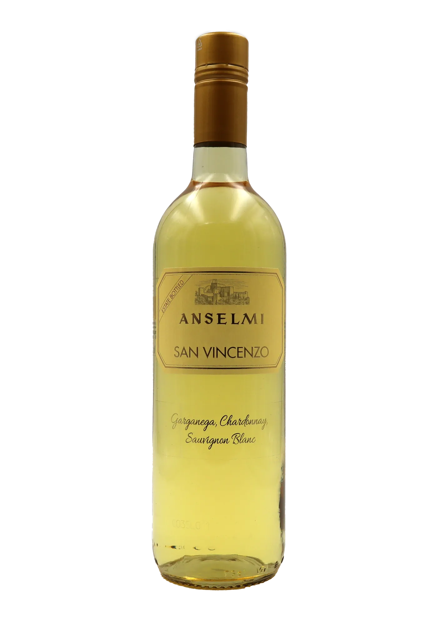 Roberto Anselmi: San Vincenzo 2024