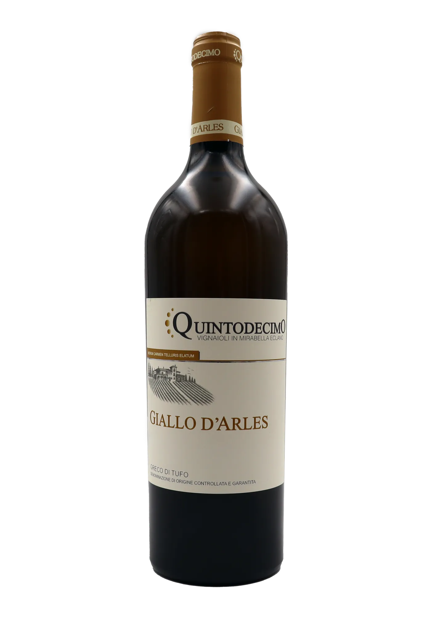 Quintodecimo: Greco di Tufo Giallo d`Arles 2024